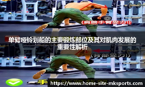 MK体育官方网站